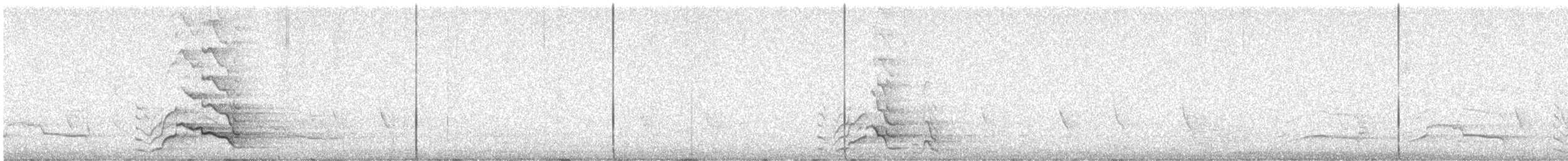 Baudin's Black-Cockatoo - ML627899349