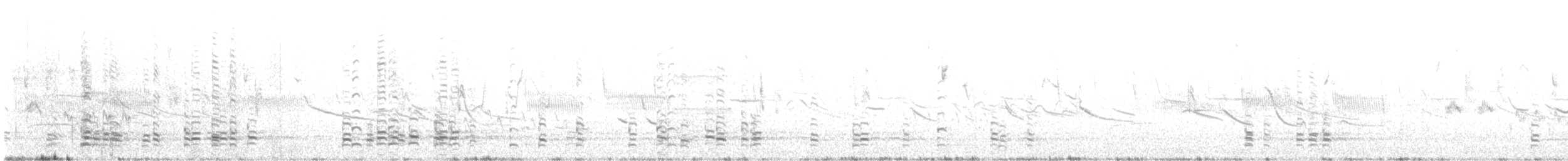 Andean Ibis - ML627901825