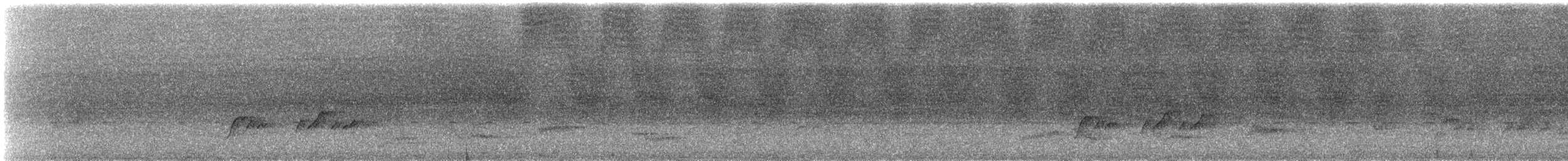 Манакін арарипський - ML627901977