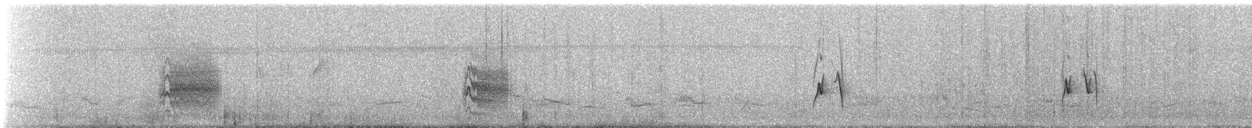 Grisin de Grantsau - ML627902048