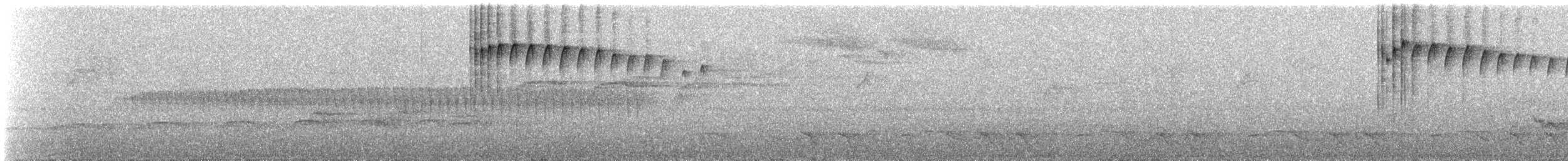 Golden-spangled Piculet (Bahia) - ML627902617