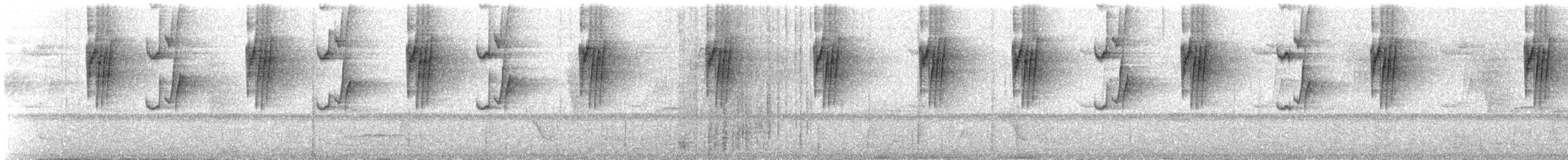 Great-billed Hermit (Margaretta's) - ML627902887