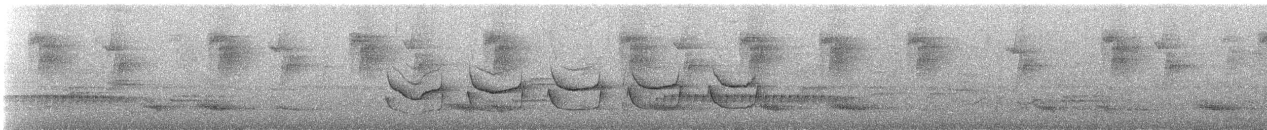 Band-tailed Antwren - ML627902891