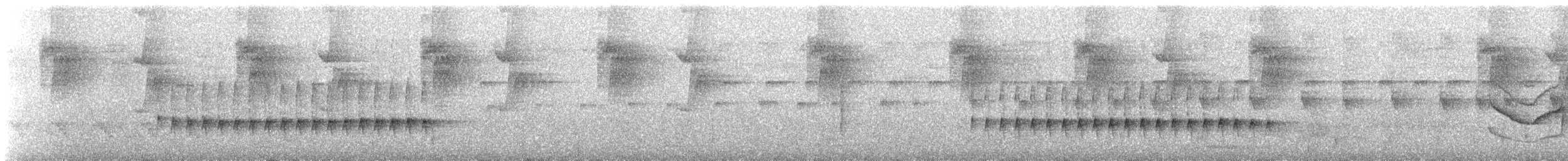 ミナミコオニキバシリ（turdina） - ML627902894