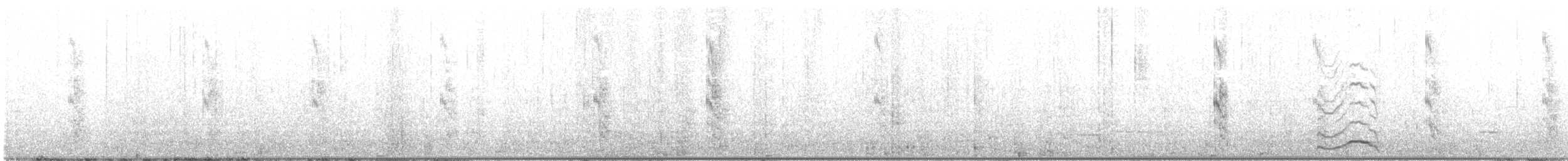 White-fronted Tern - ML627903001