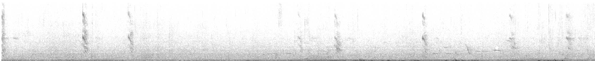 White-fronted Tern - ML627903002