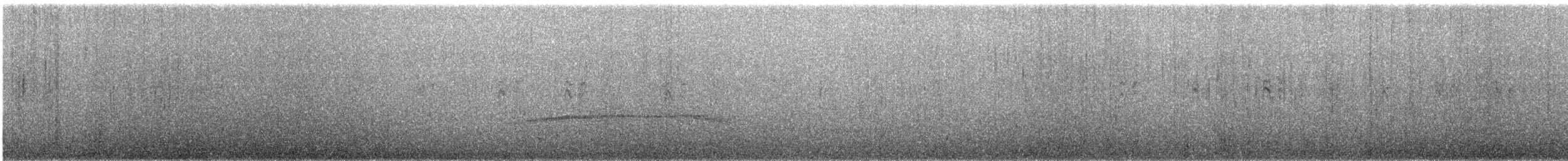 Surf Cinclodes - ML627903404