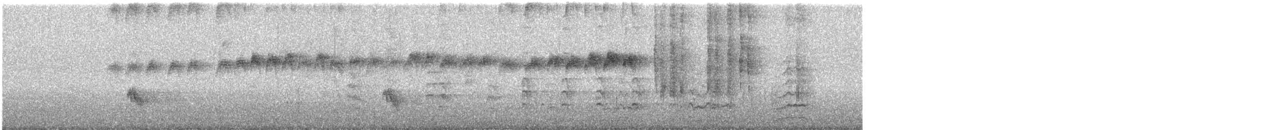 Tropical Kingbird - ML627904146