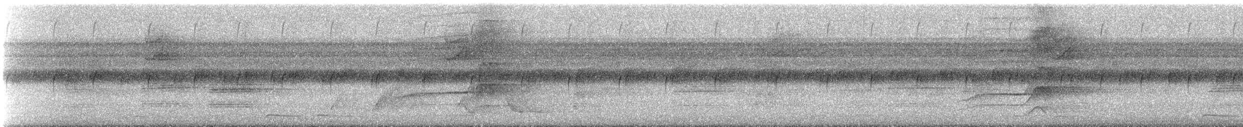 Uniform Woodcreeper - ML627918519