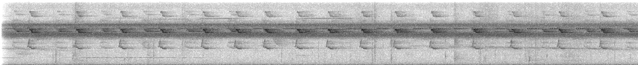 Great-billed Hermit - ML627918605