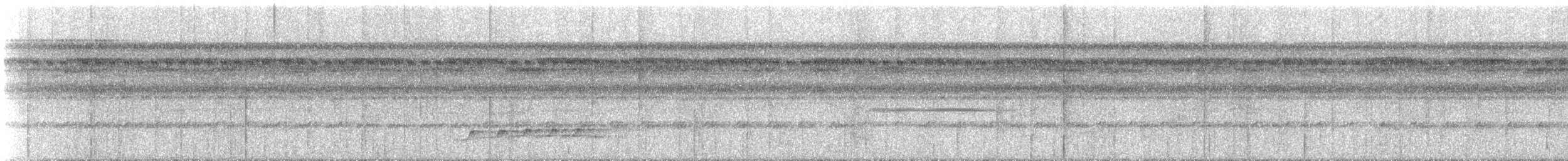 Lawrence's Thrush - ML627918691