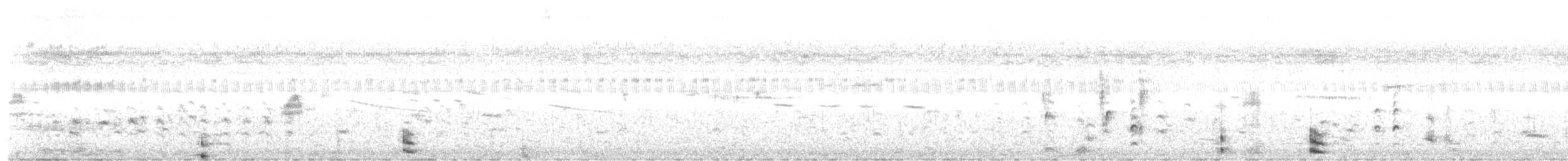 White-winged Coot - ML627920449