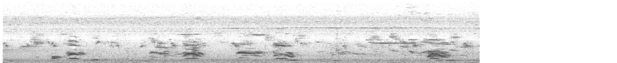 Brown-hooded Gull - ML627920529