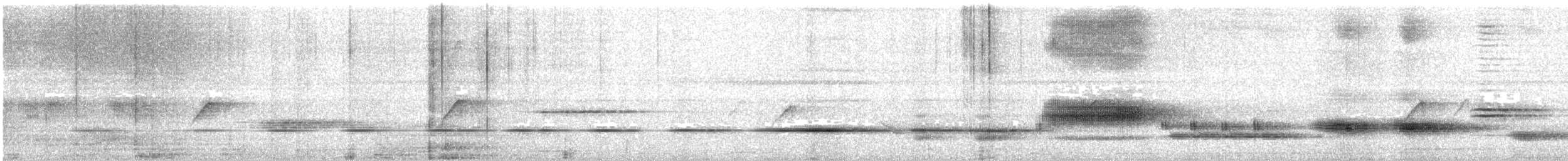 Cuban Solitaire - ML627921156