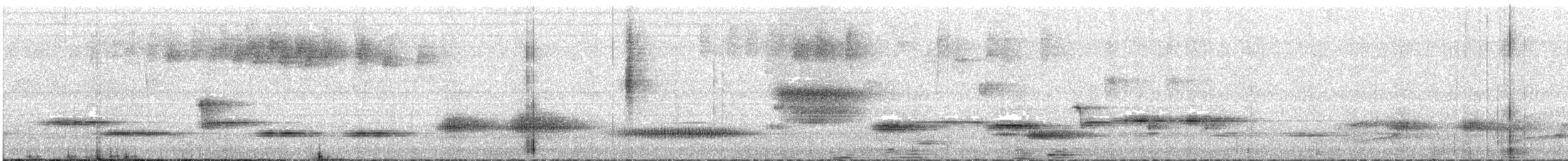 Cuban Solitaire - ML627921220