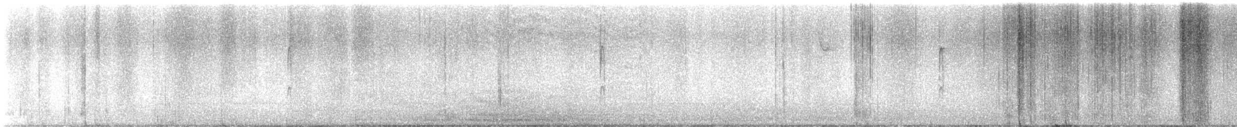 Rufous x Allen's Hummingbird (hybrid) - ML627923483