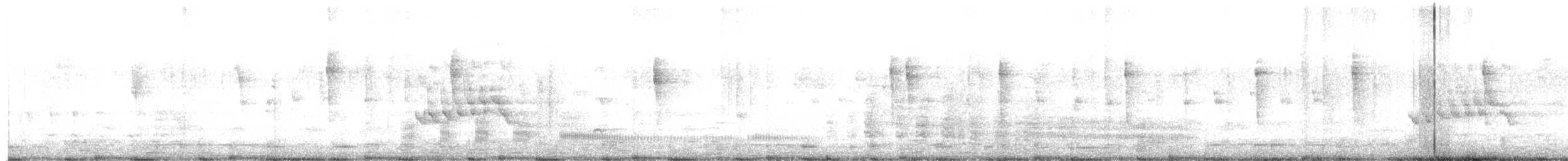 West Indian Whistling-Duck - ML627924181
