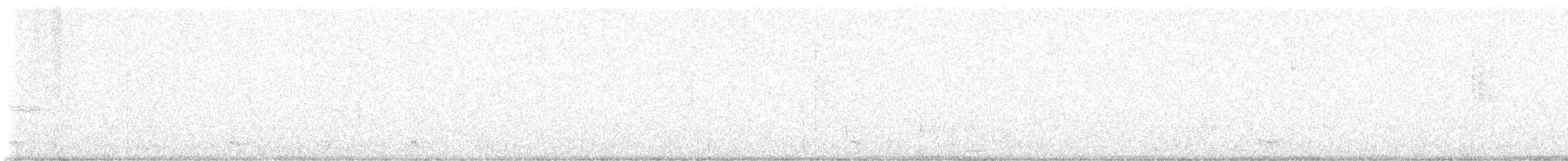 Band-tailed Pigeon - ML627934581
