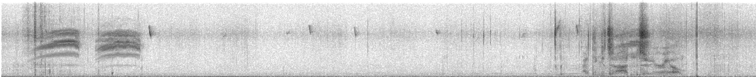 Hutton's Vireo - ML627940691