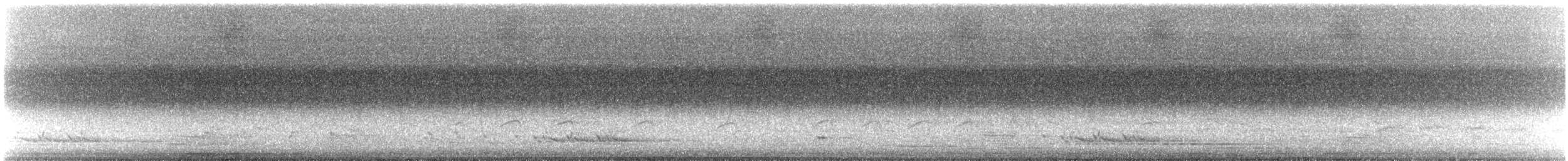 Loriot sagittal - ML627942380