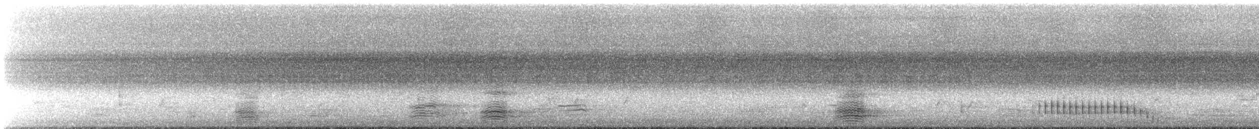 Corbeau de Torres - ML627942451