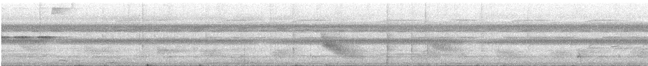 White-crowned Manakin - ML627944270