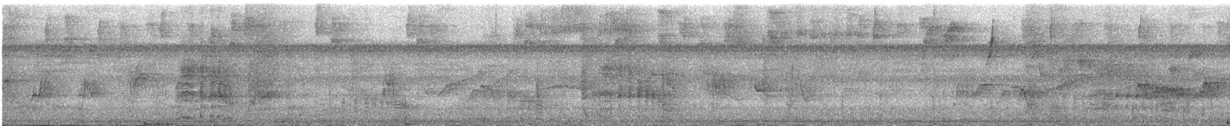 svartbukgjøk - ML627944310