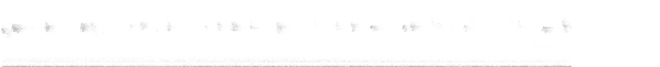 Сүүлт хөх бух - ML627945893