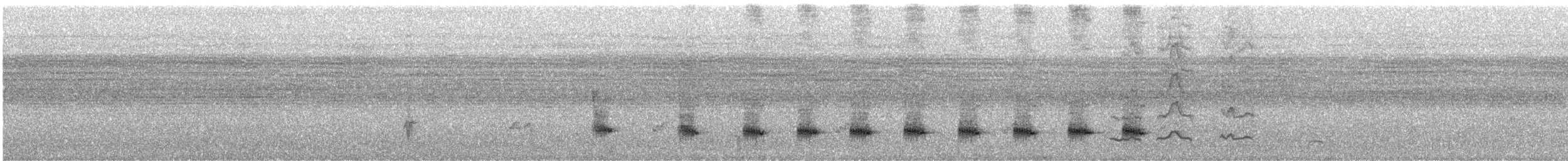 ノドグロハチマキミツスイ（laetior） - ML627947667