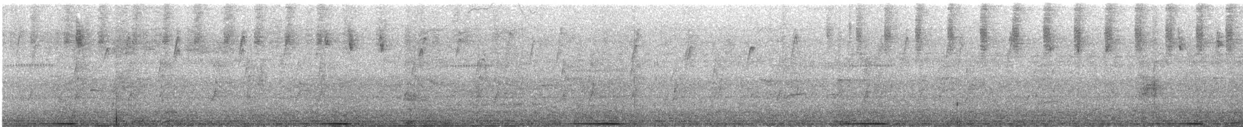 Common Bronzewing - ML627948538