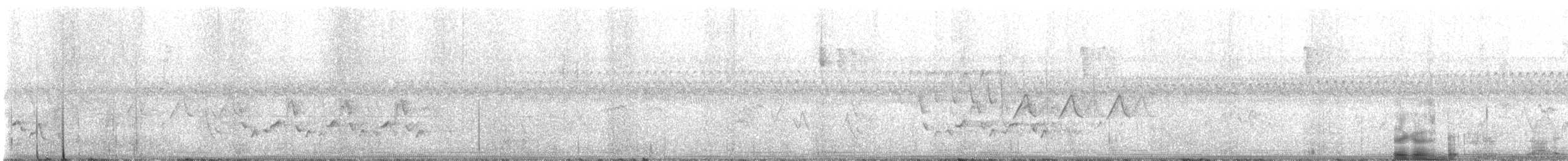 Nashville Warbler - ML627948547