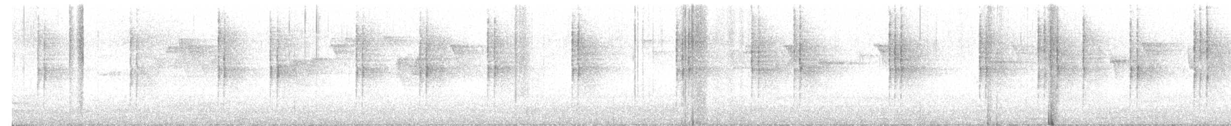 Gray-bellied Tesia - ML627948714