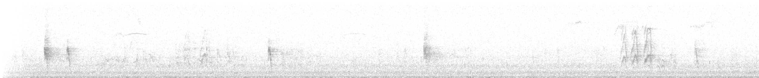 American Robin (migratorius Group) - ML627959034