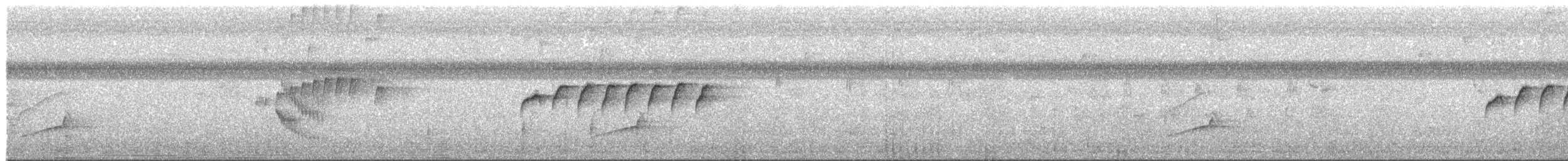 White-browed Gnatcatcher - ML627968204