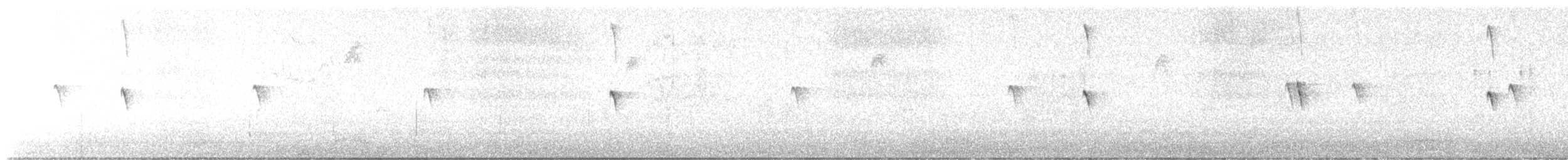 Black Phoebe - ML627971379