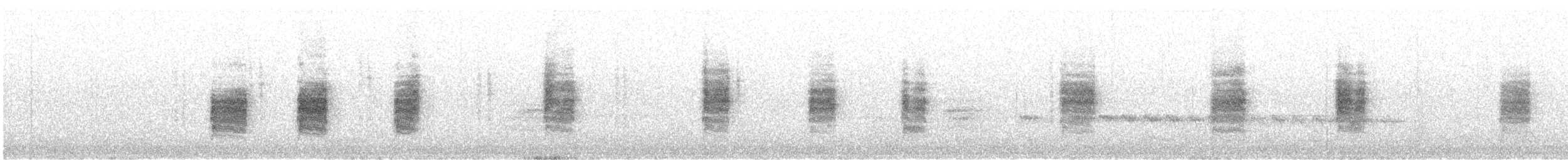 Troglodyte de Bewick - ML627974171