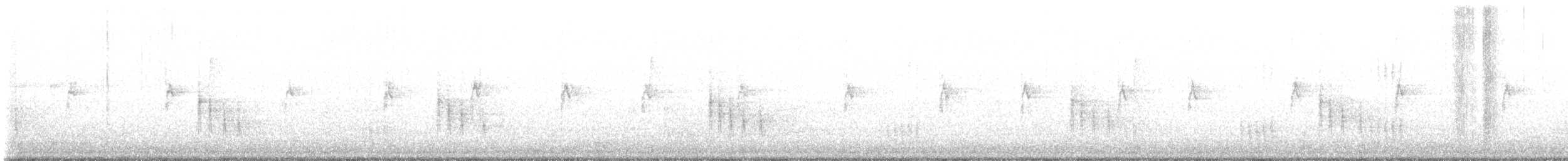 Piranga gorria - ML627979423
