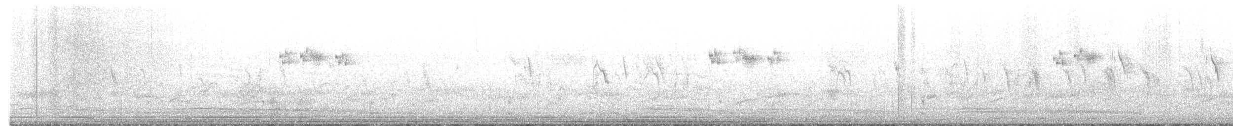 West Himalayan Bush Warbler - ML627989506