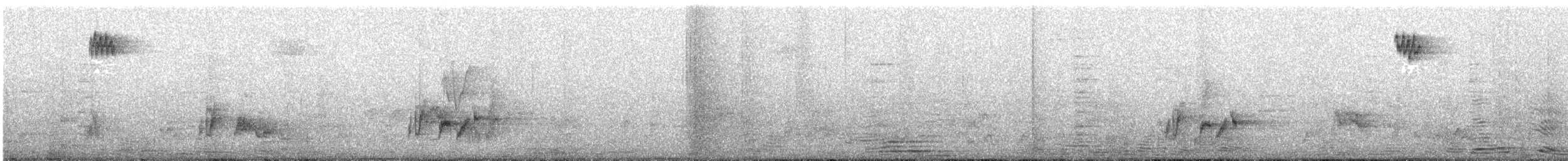 Black-breasted Thrush - ML627989862
