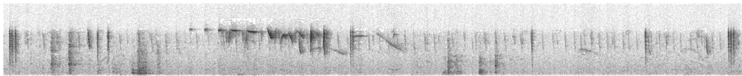 Lesser Violetear - ML627995360
