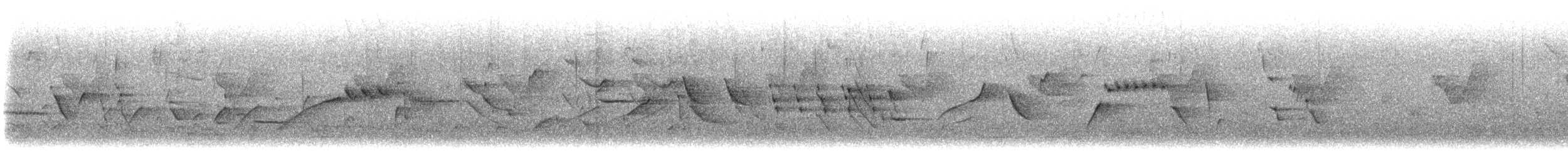 Island Canary - ML627998632