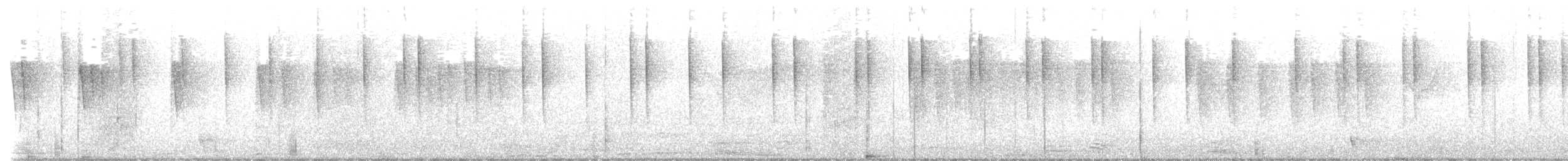 Buscarla Colicorta Asiática - ML628002658