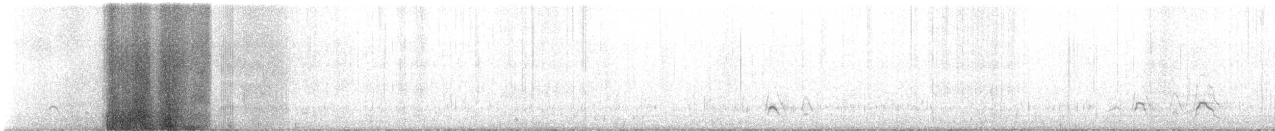 American Wigeon - ML628007086
