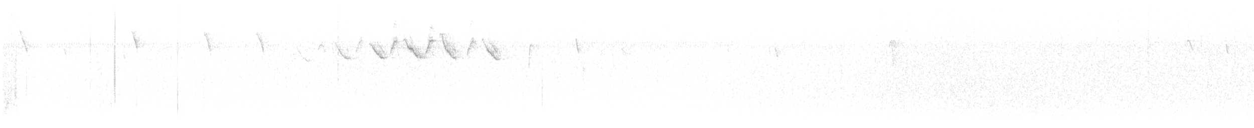 Black-and-white Warbler - ML628011473