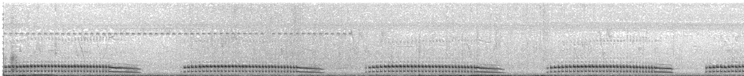 Ash-throated Crake - ML62801311