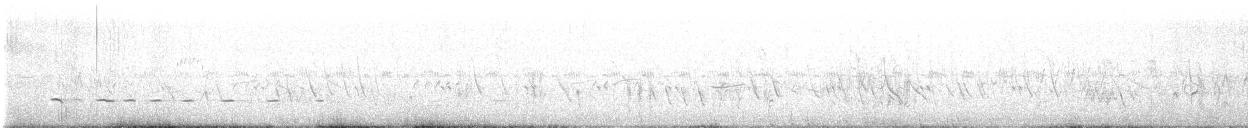 Spotted Nothura - ML628013511