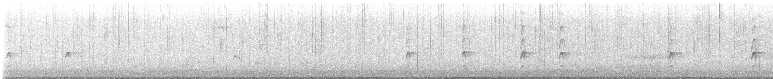 Couch's Kingbird - ML628018306