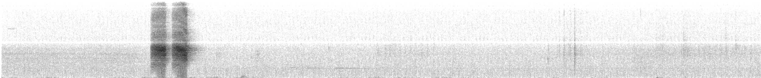 Racket-tailed Treepie - ML628025916