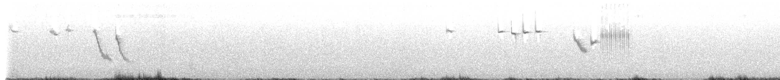 Sandhill Grasswren - ML628028786