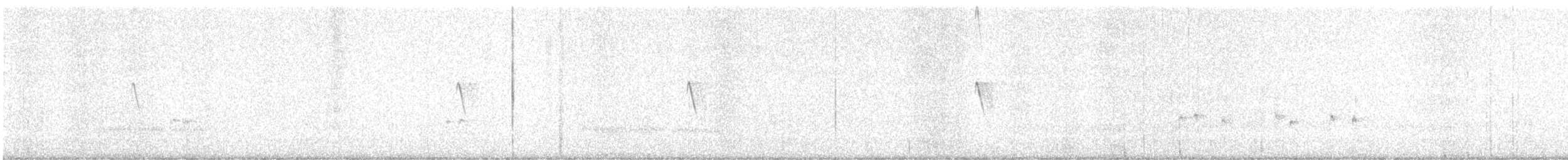 Black Phoebe - ML628030776